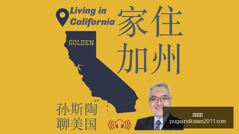 足总杯,莱顿东方,曼城,开云全站官网,开云全站App,开云体育,开云代理,开云入口