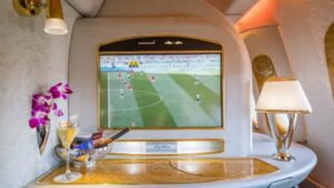 本菲卡再创佳绩，迎来卡布拉尔和特鲁宾两大强力加盟